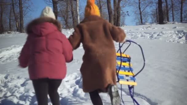 Két fiatal nő szórakozik szánkóval a téli parkban. — Stock videók