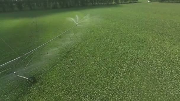 Top view of watering field. Shot of irrigation sprayer irrigating cultivated fields. — Stock Video
