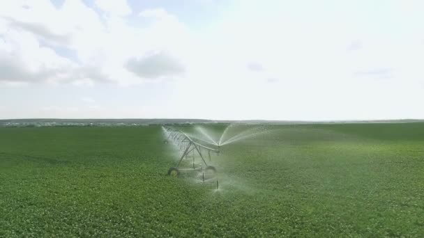Top view of watering field. Shot of irrigation sprayer irrigating cultivated fields. — Stock Video