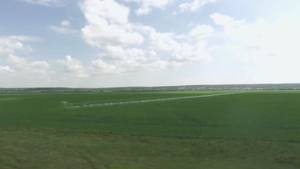 Vista superior del campo de riego. Tiro de riego pulverizador campos de riego cultivados . — Vídeos de Stock
