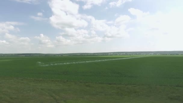 Vista superior do campo de rega. Tiro de irrigação pulverizador irrigação campos cultivados . — Vídeo de Stock