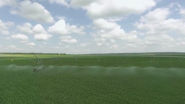 Vue du dessus du champ d'arrosage. Prise de vue du pulvérisateur d'irrigation irriguant les champs cultivés . — Video