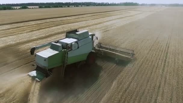 Vista aérea da moderna ceifa de trigo no campo . — Vídeo de Stock