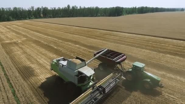 Vista aérea da ceifeira e trator trabalhando no campo de trigo . — Vídeo de Stock