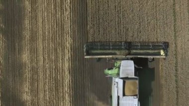 Modern hava manzarası tarlada buğday hasadını birleştiriyor.