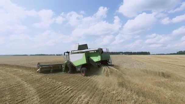 Modern hava manzarası tarlada buğday hasadını birleştiriyor. — Stok video