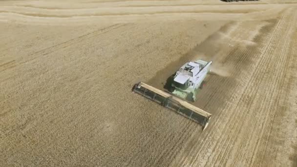 Vista aérea de la cosechadora moderna de trigo en el campo . — Vídeo de stock