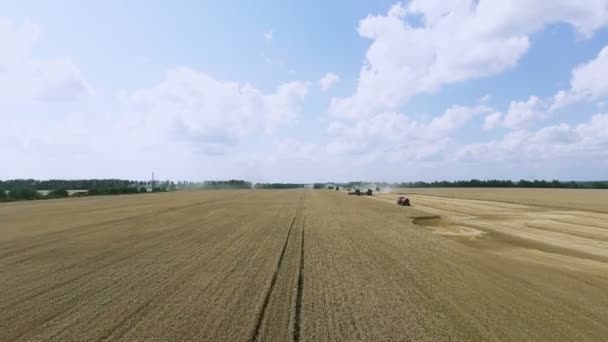 Widok z lotu ptaka Kombajny zbożowe zbiera pszenicę — Wideo stockowe