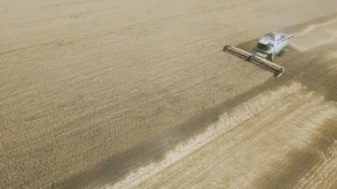 Modern hava manzarası tarlada buğday hasadını birleştiriyor.
