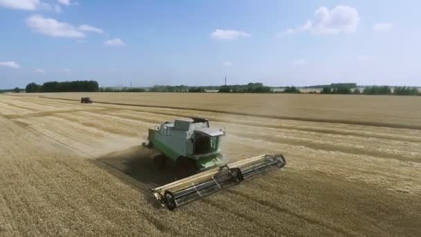 Luftaufnahme moderner Mähdrescher bei der Weizenernte auf dem Feld. — Stockvideo
