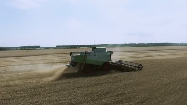 Letecký pohled na moderní kombinovanou sklizeň pšenice na poli. — Stock video