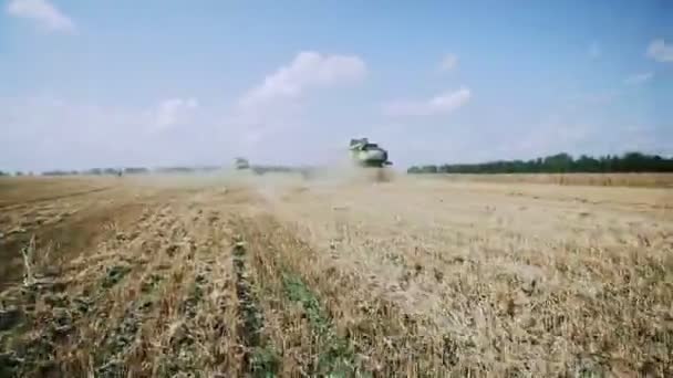 Vue d'une moissonneuse batteuse récolte de champ de blé — Video