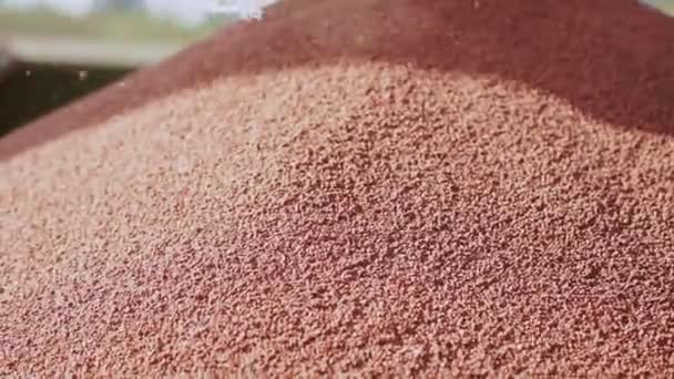 化学肥料。红色化肥注入农业拖拉机 — 图库视频影像