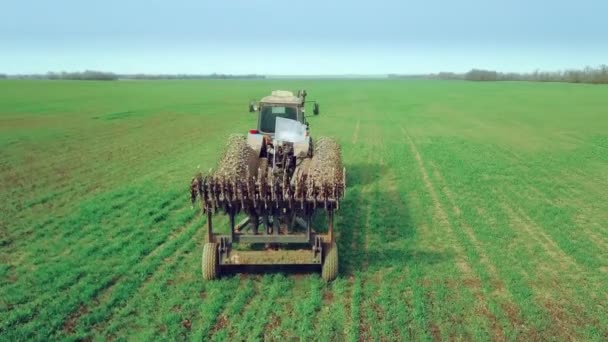 Tarlalarda arazi hazırlayan traktördeki bir çiftçinin hava görüntüsü. Beyaz traktör tarlaları sürüyor, toprağı ekime hazırlıyor.. — Stok video