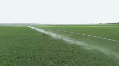Sulama alanının en üst görüntüsü. Sulama spreyinin ekili alanları sulaması..