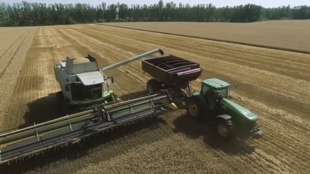 Letecký pohled na kombinovaný sklízeč a traktor pracující v pšeničném poli. — Stock video