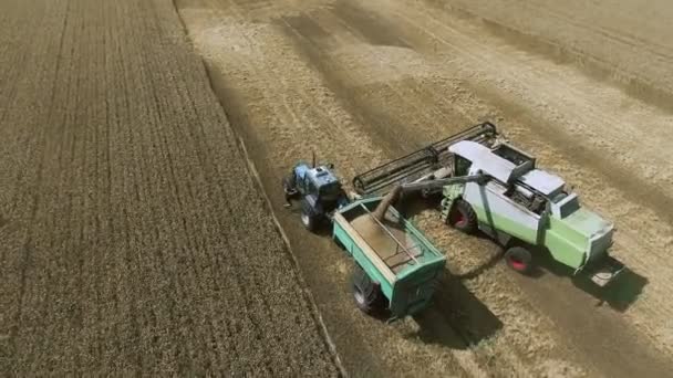 Luftaufnahme des Mähdreschers und Traktors bei der Arbeit im Weizenfeld. — Stockvideo