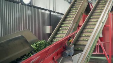 Sebzelerin İşlenmesi İçin Otomatik Hat. Salatalığı koruyorum. Konserve salatalık. Salatalık ve baharatlı cam kavanozlar..