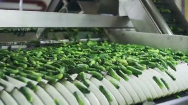 Sebzelerin İşlenmesi İçin Otomatik Hat. Salatalığı koruyorum. Konserve salatalık. Salatalık ve baharatlı cam kavanozlar..