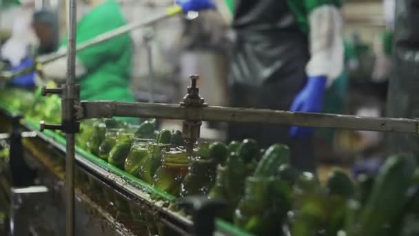 Een conservenfabriek. Automatische lijn voor het verwerken van groenten. Komkommers in blik. Glazen potten met komkommers en specerijen op de transportband — Stockvideo