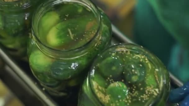 Canning plant. Automatic line for processing vegetables. Canned cucumbers. Glass jars with cucumbers and spices on the conveyor — Stock Video