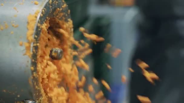 Couper les carottes dans une usine de transformation de légumes. Usine moderne pour le traitement des carottes. Usine de transformation des légumes — Video