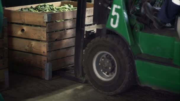 Doos vol komkommers. Automatische lijn voor de verwerking van groenten. Behoud van komkommer. Komkommers in blik. Glazen potten met komkommers en specerijen. — Stockvideo
