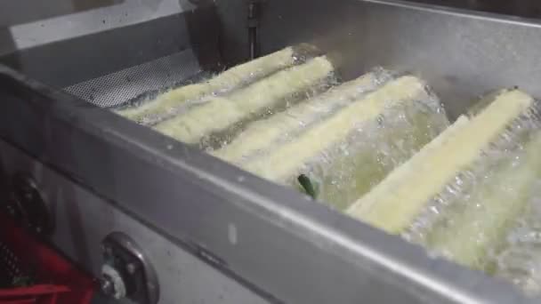 Línea de lavado automático para el procesamiento de verduras. Preservando pepino. Pepinos enlatados. Frascos de vidrio con pepinos y especias . — Vídeo de stock