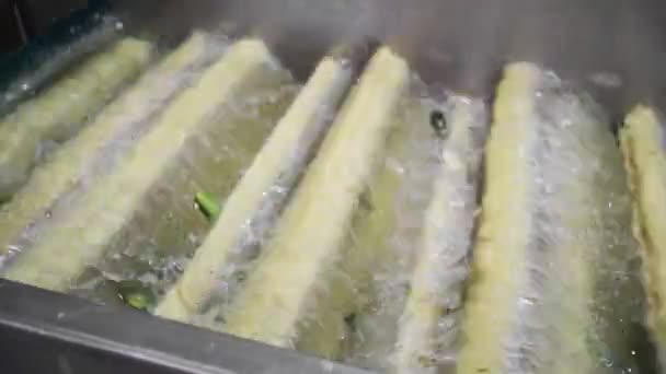 Automatic washing Line for Processing of Vegetables. Preserving Cucumber. Canned cucumbers. Glass jars with cucumbers and spices. — Stock Video