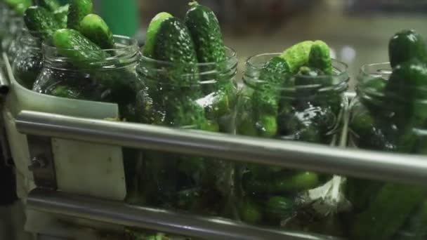 Conserverie. Ligne automatique pour le traitement des légumes. Concombres en conserve. Pots en verre avec concombres et épices sur le convoyeur — Video