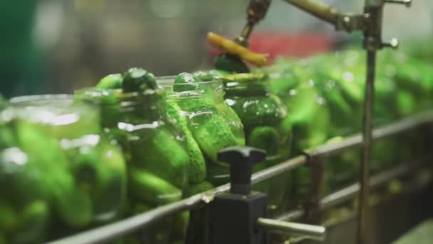 Een conservenfabriek. Automatische lijn voor het verwerken van groenten. Komkommers in blik. Glazen potten met komkommers en specerijen op de transportband — Stockvideo