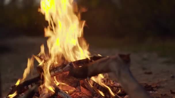 Chimenea en llamas. Caliente y acogedor fuego ardiente en una chimenea de ladrillo de cerca. Fondo acogedor . — Vídeo de stock