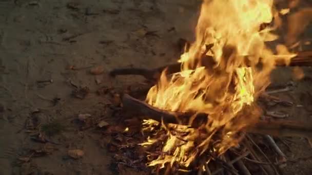 Fuego en cámara lenta. Chimenea en llamas. Caliente y acogedor fuego ardiente en una chimenea de ladrillo de cerca. Fondo acogedor . — Vídeos de Stock