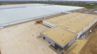 Sebze yetiştirmek için büyük bir binanın üzerinde uçmak şeffaf çatılı bir sera, yukarıdan manzaralı bir sera..