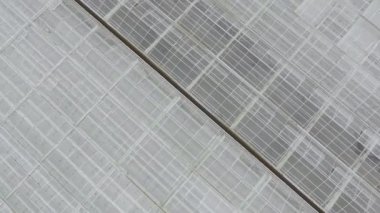 Sebze yetiştirmek için boş sera manzarası şeffaf çatısı olan bir sera, yukarıdan bir sera manzarası..