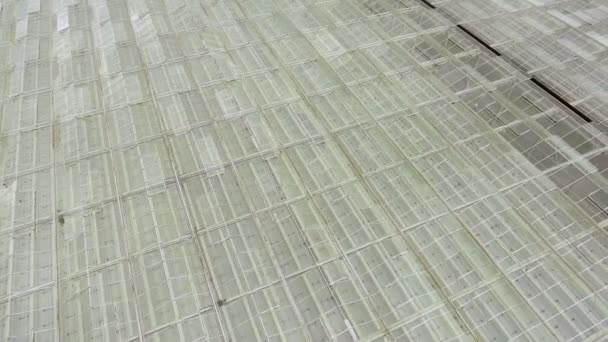 Vue aérienne vers le bas de la serre vide pour la culture de légumes, une serre avec un toit transparent, une vue sur la serre d'en haut .