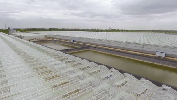 채소를 재배하기 위한 비어 있는 온실, 투명 한 지붕을 가진 온실, 위에서 내려다보는 온실. — 비디오