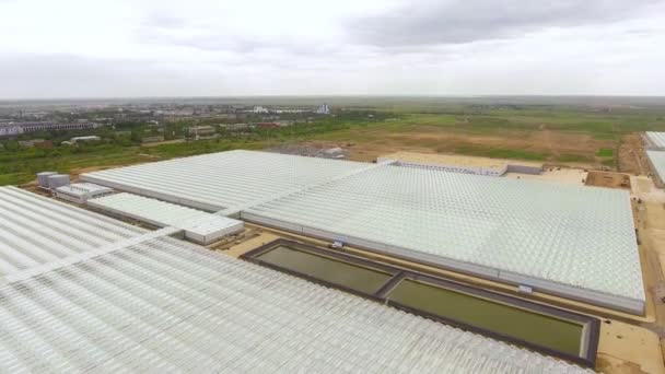 Sorvolando un grande edificio serre per la coltivazione di verdure, una serra con un tetto trasparente, una vista serra dall'alto . — Video Stock