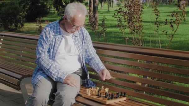 Gamlingen spelar schack ensam på bänken i sommarparken. — Stockvideo