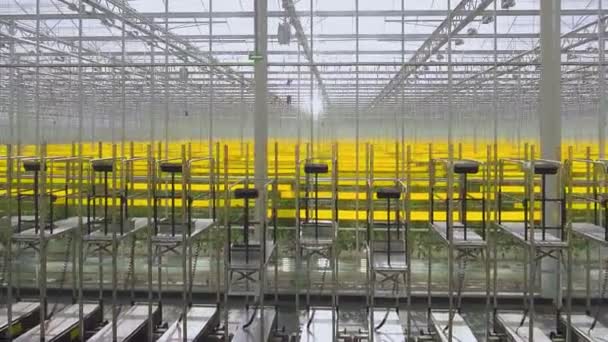 温室中的特殊设备 — 图库视频影像