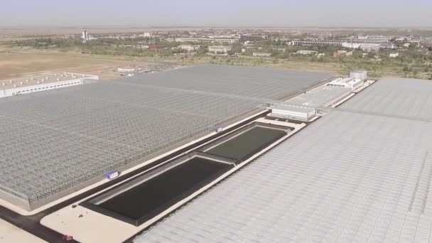 Letecký pohled na skleníkový prostor se zeleninou — Stock video