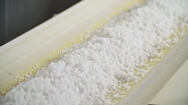 Pirinç fabrikası. Temizlik ve pirinç üretimi. Pirinç ve tahıl paketlemek için taşıyıcı.