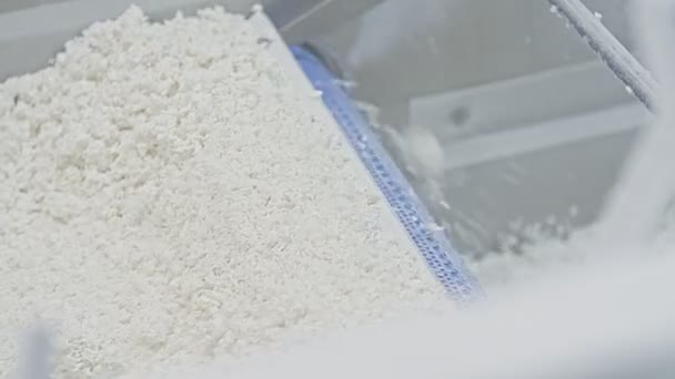 Reisfabrik. Reinigung und Produktion von Reis. Förderband zum Verpacken von Reis und Getreide. — Stockvideo