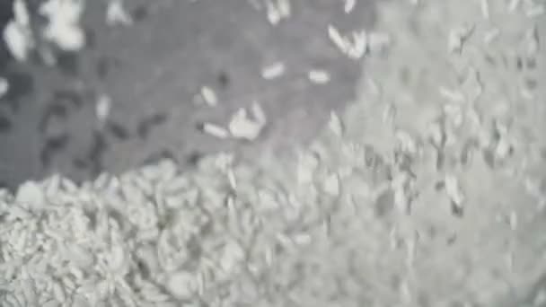 Slow motion of falling frozen rice on factory — Stock Video