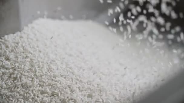 Movimiento lento de la caída de arroz congelado en fábrica — Vídeo de stock