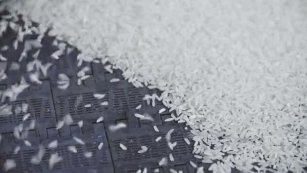 Movimiento lento de la caída de arroz congelado en el transportador — Vídeos de Stock