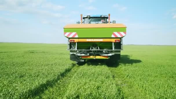 Tarlada mısır filizleri, mısır yetiştirmek için bir çiftlik. Traktörün arka planı — Stok video