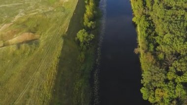 Orman ve nehirle güzel bir manzara.