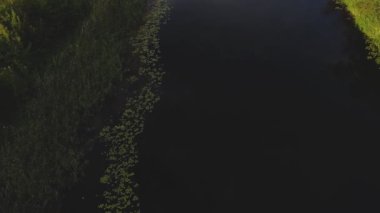 Orman ve nehirle güzel bir manzara.