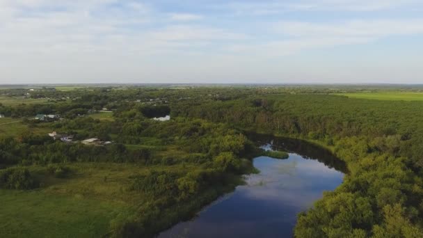 美丽的森林和河流风景 — 图库视频影像